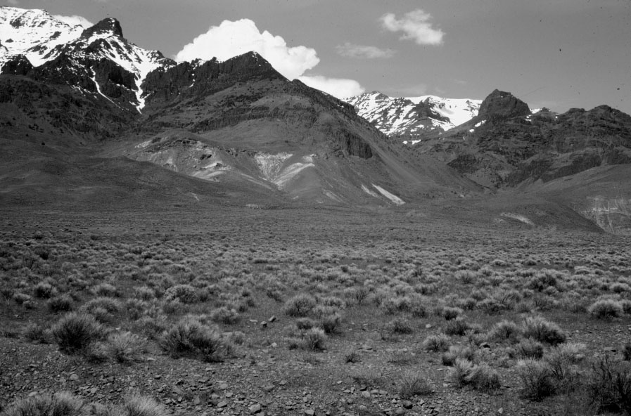 6-22%2c%20old%20PNW%206-15.%20Steens